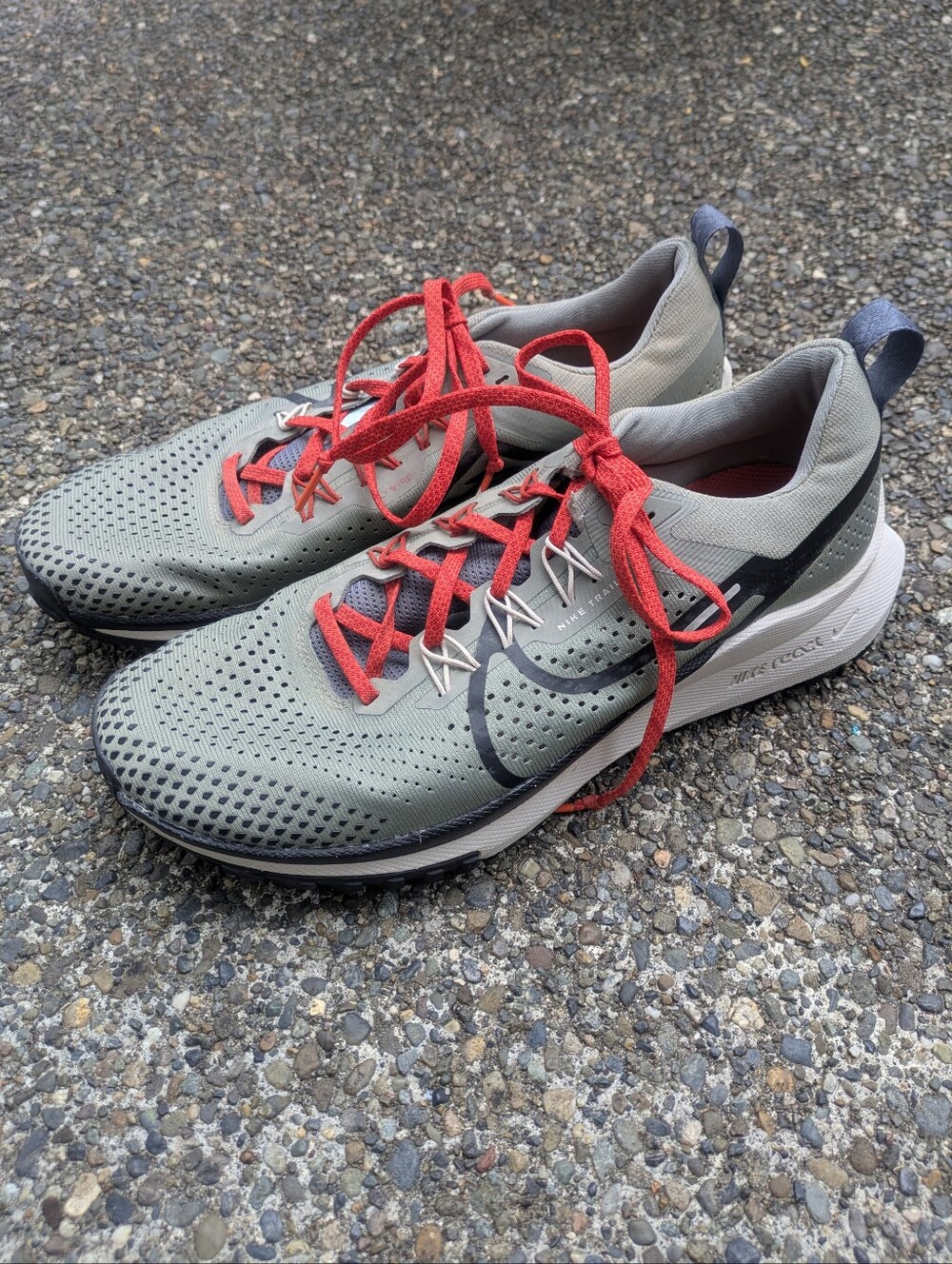 Nike Pegasus 4 Trail Shoes